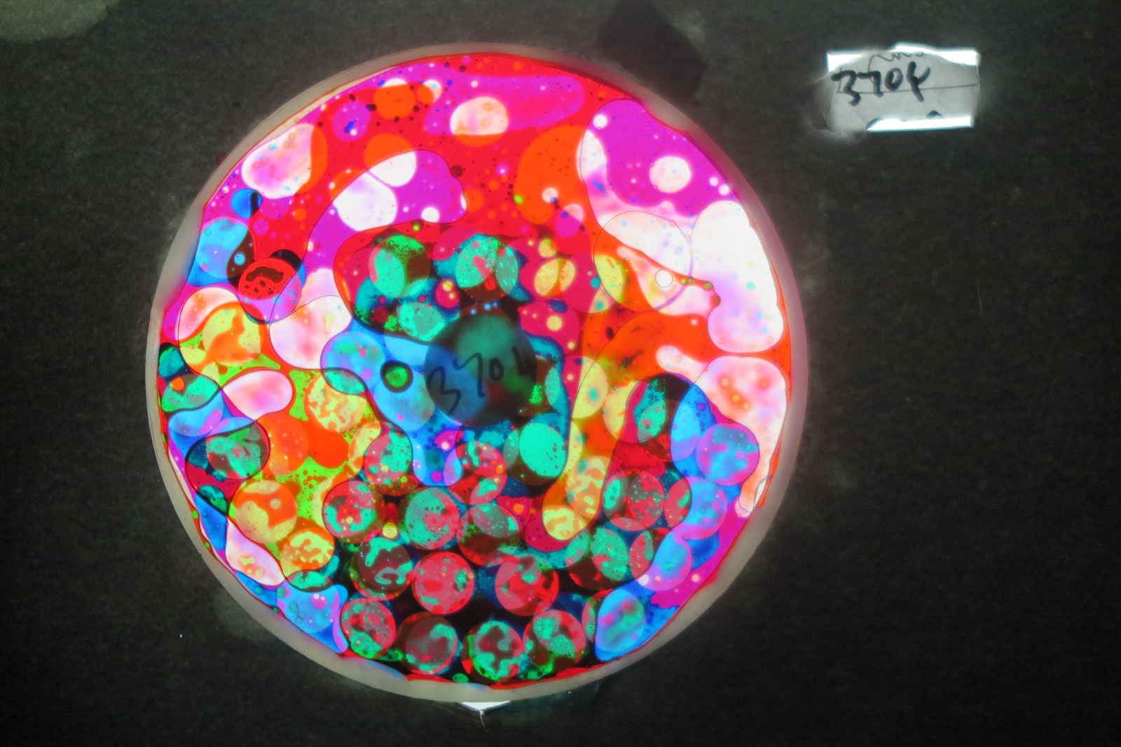 BV3704 bubble vision oil wheel